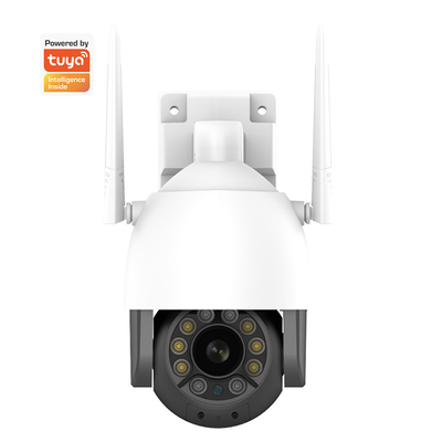 ฉลาด Home Security กล้อง Outdoor Whalecam 1080P Wi-Fi พร้อม Pan / Tilt Motion Detection กล้อง Wifi