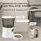 Glomarket Smart Tuya Pet Automatic Feeder Wifi 6L Dog Cat Food App รีโมทคอนโทรลพร้อมกล้อง Pet Automatic Feeder