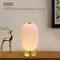 Glomarket Tuya Wifi 3D Print Smart Lantern Light ปรับความสว่างได้ 16 ล้านสี