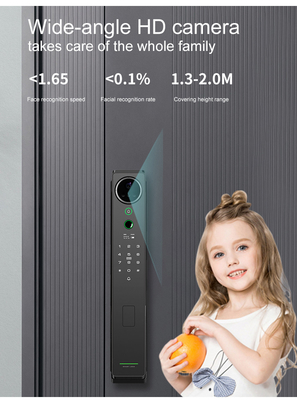 หัวหินหนัก อัจฉริยะการจําเพาะใบหน้าล็อค Tuya สมาธิ intercom ภาพ