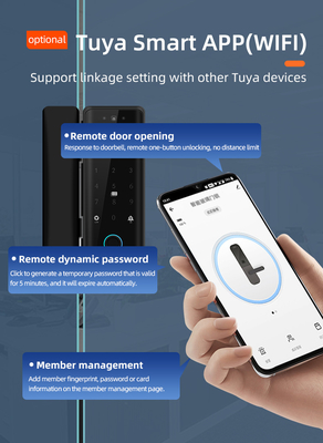 Glomarket Tuya Smart 3d Face Recognition Wifi ล็อคประตูกระจก ปริมษ์บัตรรหัสผ่าน ล็อคประตูกระจกอิเล็กทรอนิกส์ สําหรับสํานักงาน