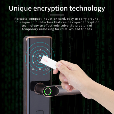 ล็อคประตูอัจฉริยะ Euro Tuya ล็อคลายนิ้วมือ Biometric สีดำ