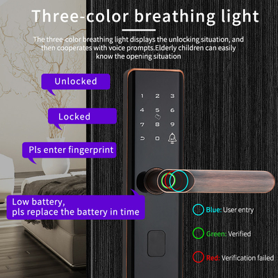 ล็อคประตูอัจฉริยะ Euro Tuya ล็อคลายนิ้วมือ Biometric สีดำ