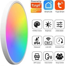 24w Tuya Smart Ceiling Light รีโมทคอนโทรล Rgb สีสันสดใสนำเพลงสมัยใหม่